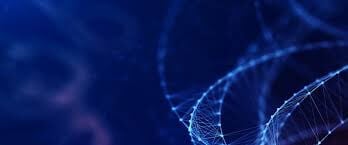 SonicWALL latest awards