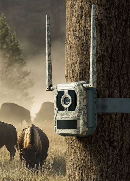 Reolink Talon Pro 4K 4G LTE Game and Trail Camera with Live View & Starlight Night Vision By Reolink - Buy Now - AU $197.94 At The Tech Geeks Australia