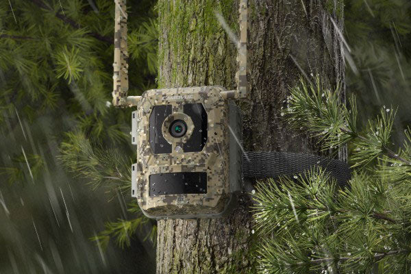 Reolink Talon Pro 4K 4G LTE Game and Trail Camera with Live View & Starlight Night Vision By Reolink - Buy Now - AU $197.94 At The Tech Geeks Australia