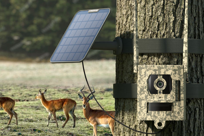 Reolink Talon Pro 4K 4G LTE Game and Trail Camera with Live View & Starlight Night Vision By Reolink - Buy Now - AU $197.94 At The Tech Geeks Australia