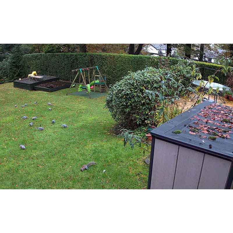 RLC-810A Reolink 4K 8MP PoE IP Camera with Person/Vehicle Detection By Reolink - Buy Now - AU $110.84 At The Tech Geeks Australia