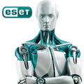 ESET Protect - Per User Monthly / Yearly By ESET - Buy Now - AU $3.12 At The Tech Geeks Australia
