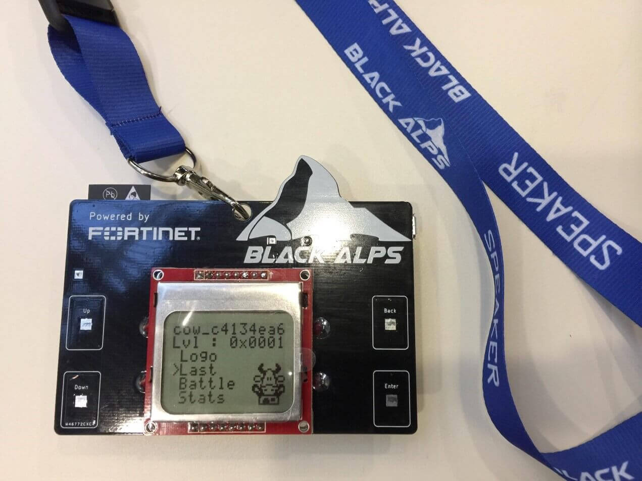 Fortinet Black Alps 2017 Wrap Up