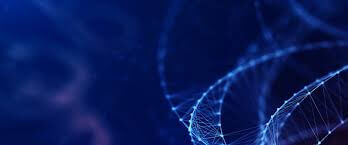 SonicWall Wins 7 New Awards, Bringing 2018 Total to Over 30