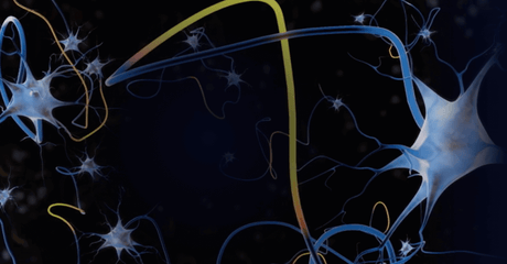 SOPHOS - Intercept X: the executive’s view