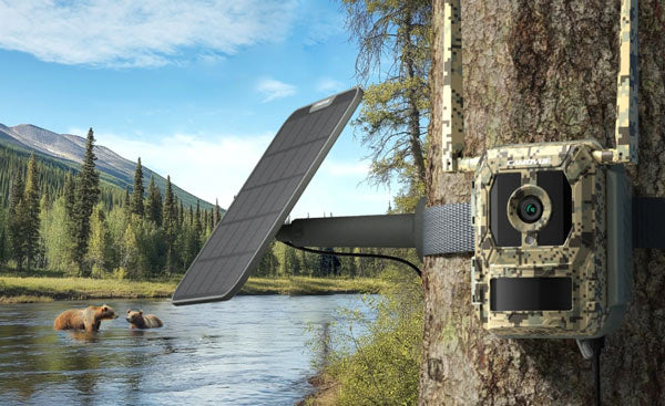 Reolink Talon Pro 4K 4G LTE Game and Trail Camera with Live View & Starlight Night Vision By Reolink - Buy Now - AU $210 At The Tech Geeks Australia